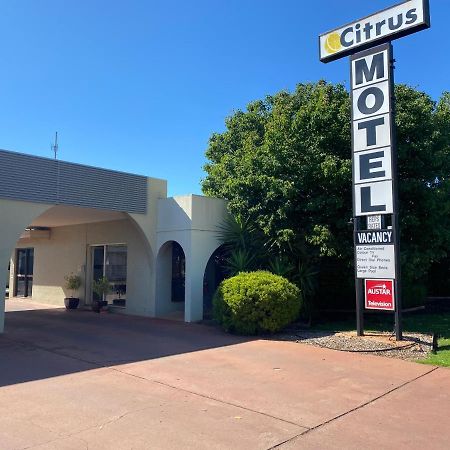 Citrus Motel กริฟฟิท ภายนอก รูปภาพ